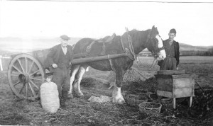 Wire potato baskets, Arran Museum and archive