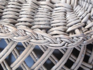 IMG_1856